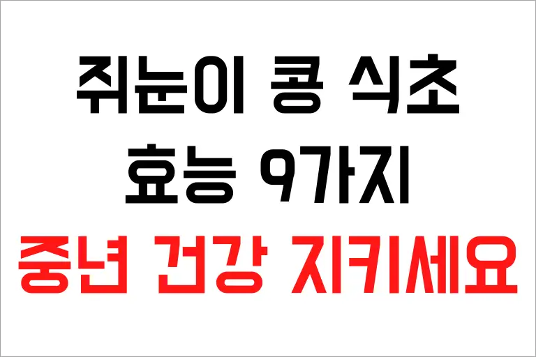 쥐눈이 콩 식초 효능 9가지, 중년 건강을 지키세요