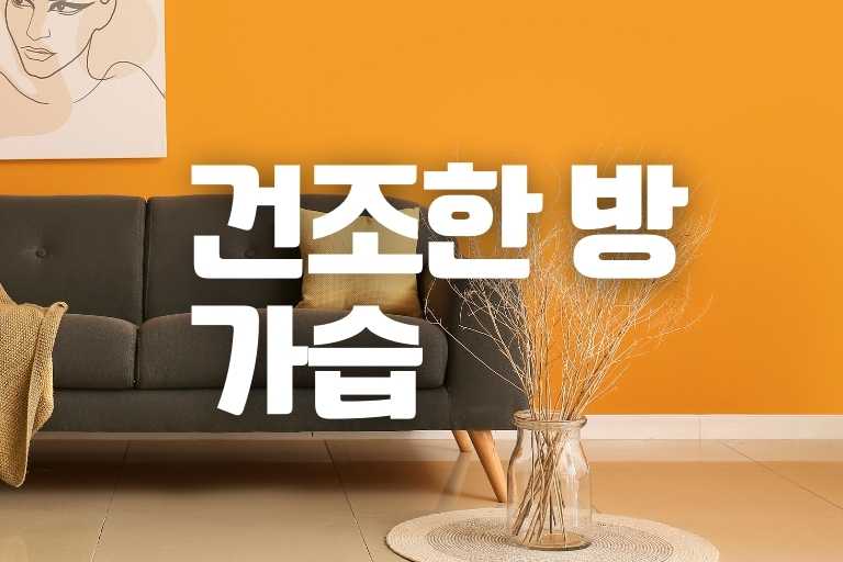 건조한 방 가습하는 11가지 꿀팁!