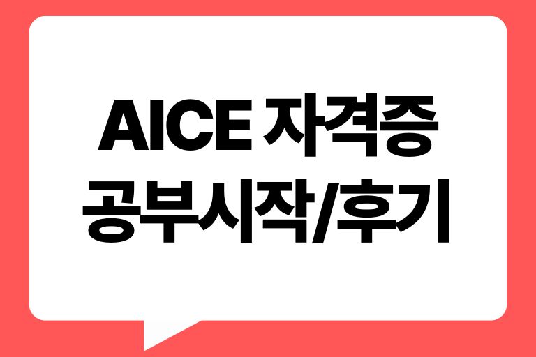AICE 자격증 후기