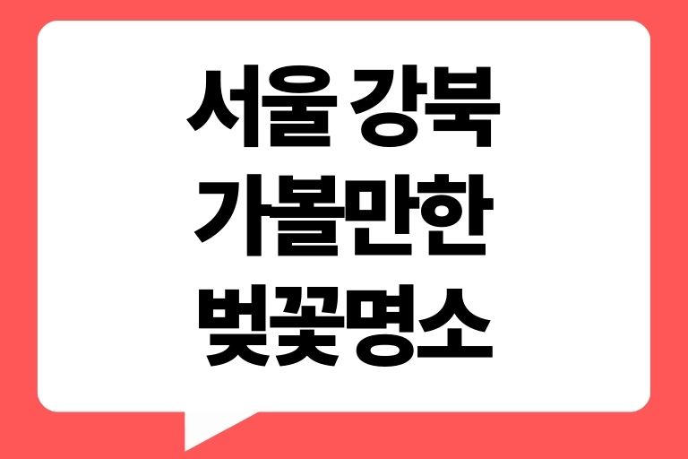 서울 강북 가볼만한 벚꽃명소