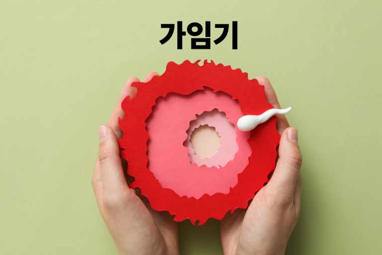 가임기 언제일까? 임신 확률 계산하기! - 베스트페런츠