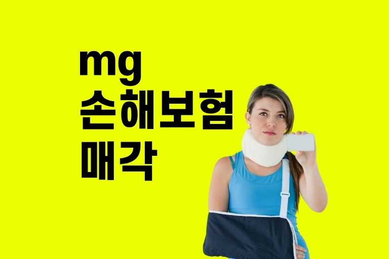 mg손해보험 매각