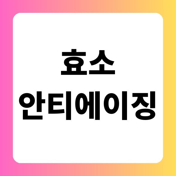 효소 안티에이징