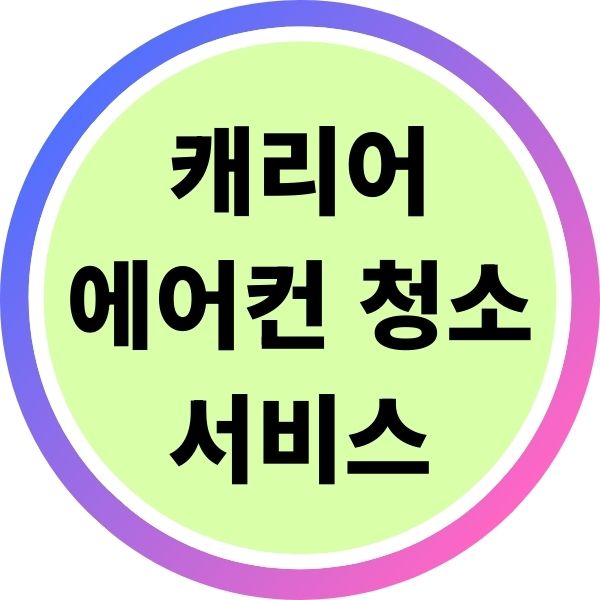 캐리어에어컨 청소 서비스