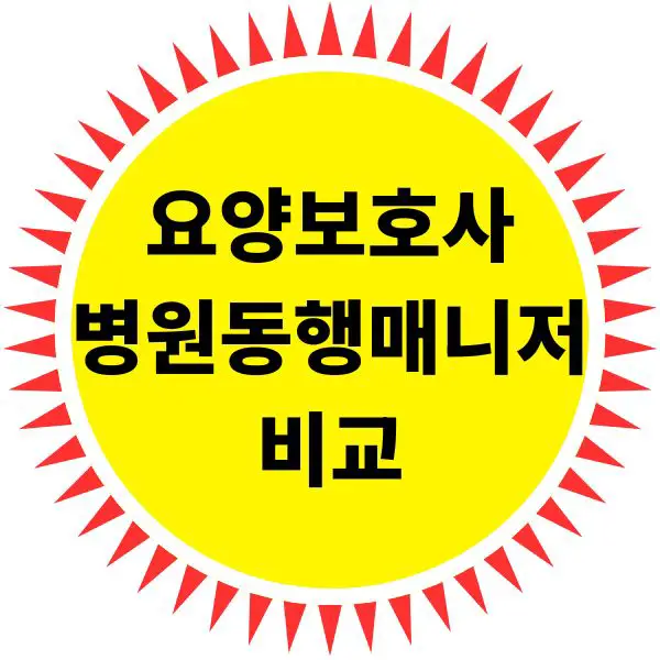 요양보호사 자격증과 병원동행매니저 비교
