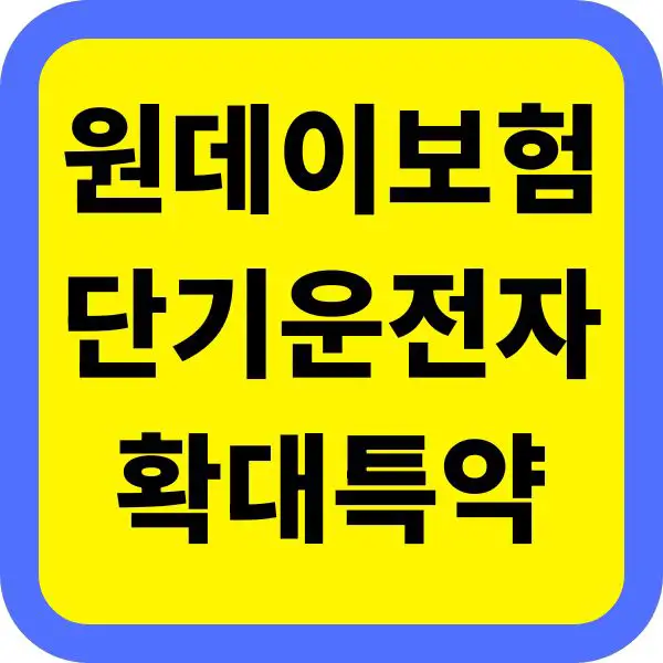 원데이보험과 단기운전자확대특약 비교